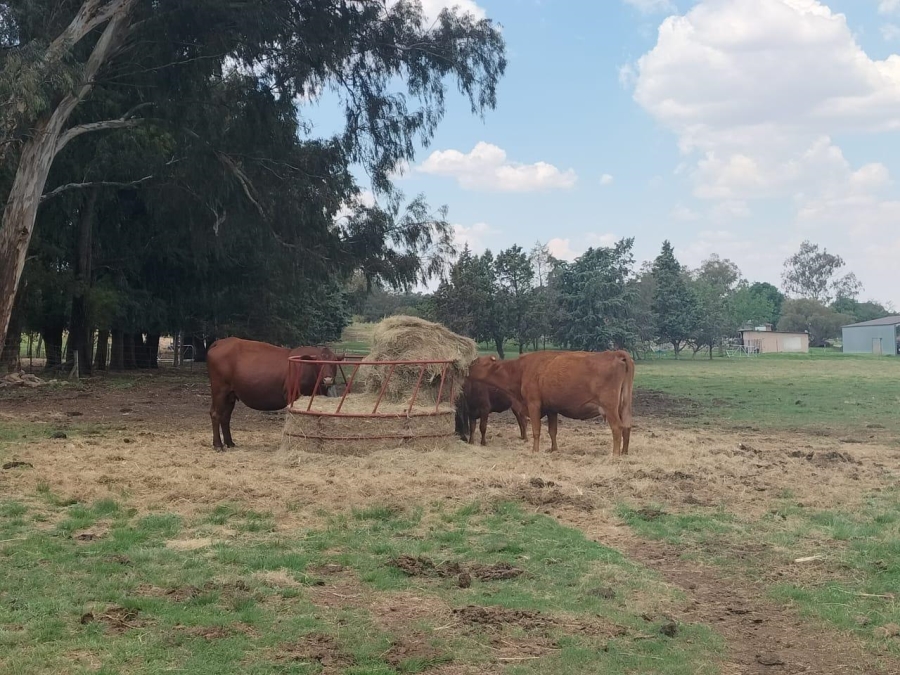 0 Bedroom Property for Sale in Bethlehem Rural Free State